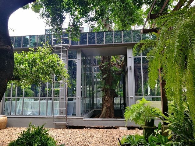 The Glass House